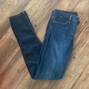 Joes Jeans Skinny Visionaire Fit